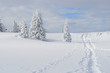 Winterlandschaft