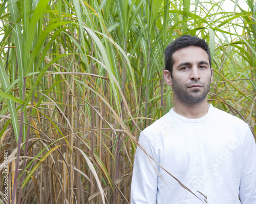 Photo: Man standing in a crop of bamboo. Man standing in a crop of bamboo.