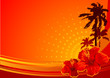 Hibiscus