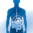 Magen, Darm, Magenmedizin, Untersuchung Magen, Darm, Magenmedizin, Untersuchung