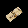 Empty mouse trap