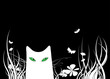 white cat