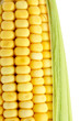 Détail épi de maïs