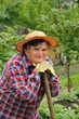 Senior woman gardening