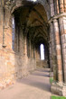 Whitby abbey