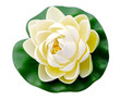 Fleur de lotus