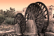 Syria - Hama Syria - Hama
