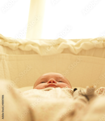 Photo: Baby in Bassinet Baby in Bassinet