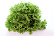 Salade batavia