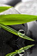 Wassertropfen