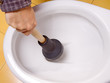 cleaning toilet bowl with lavatorial bell