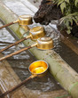 Photo: Shinto Shrine Purification Ladles Shinto Shrine Purification Ladles