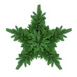 fir tree branch - star