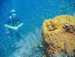 diving is fun