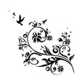 Floral design elements Floral design elements