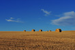 Bales of hay on a field with bright blue sky