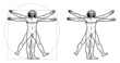 Leonardo's Vitruvian Man (vector)