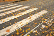 Zebrastreifen / Fußgängerüberweg im Herbst Zebrastreifen / Fußgängerüberweg im Herbst