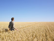 Man Walking in Wheat Field