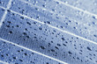 Foto: Drewdrops on solar moduls Drewdrops on solar moduls