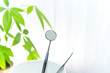 Photo: dental tools dental tools