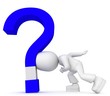 stupid questions