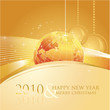 2010 business greeting card