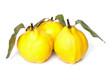 Quince group on white background