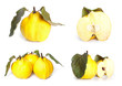 Arrangement of fresh bright yellow quinces