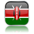 Kenyan Square Flag Button (Kenya - Vector - Reflection)