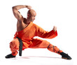 Shaolin warrior monk Shaolin warrior monk