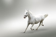 White horse