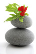 Fleur rouge sur galets ronds