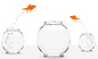 Foto: two goldfish jumping to bigger fishbowl two goldfish jumping to bigger fishbowl
