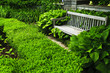 Lush green garden Lush green garden
