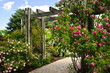 Lush green garden Lush green garden