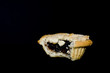 Eat mince pie