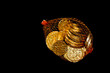 Chocolate money