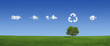Lonely tree on a green field (XXXLarge)