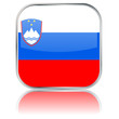 Slovenia Flag Square Button (Slovene Republic Vector Reflection)