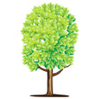 Vector tree