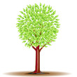 Green tree