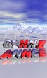 bonne année