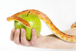 Temptation