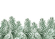 fir tree branch with artificial snow