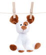 Petit chien en peluche suspendu sur une ligne Petit chien en peluche suspendu sur une ligne