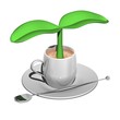コーヒーカップ