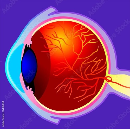 Illustration: Illustration of eyeball with veins Illustration of eyeball with veins