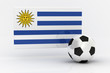 Uruguay Soccer