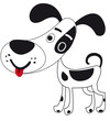petit chien noir et blanc